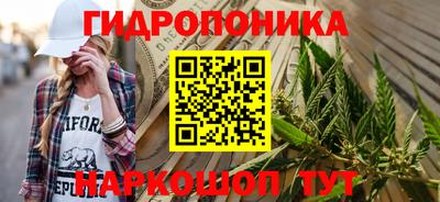 прущие грибы Кунгур