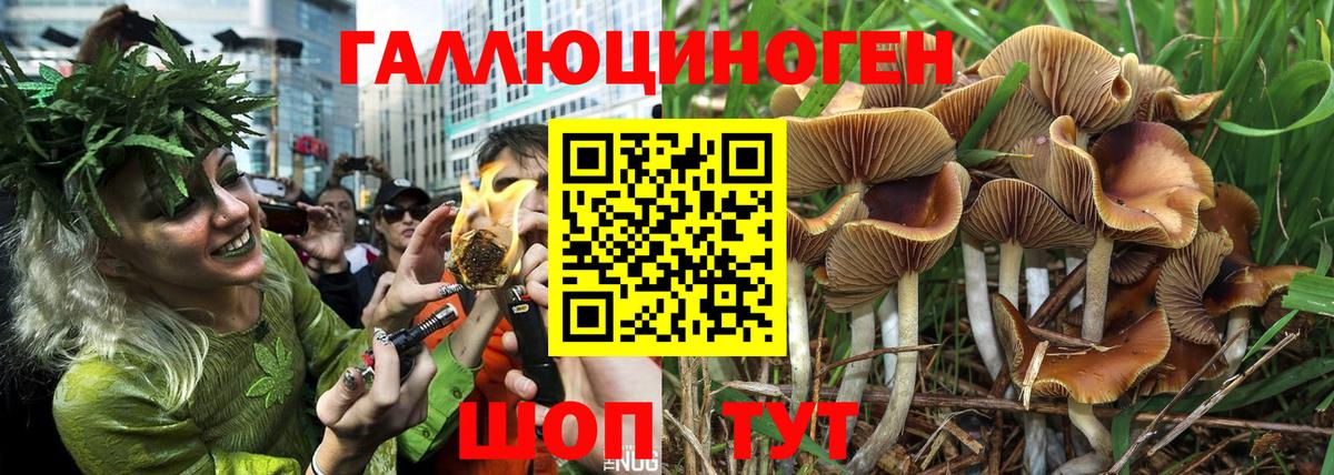 Галлюциногенные грибы мухоморы  Галлюциногенные грибы GOLDEN TEACHER  наркотики  Зеленокумск  Вход с VPN 