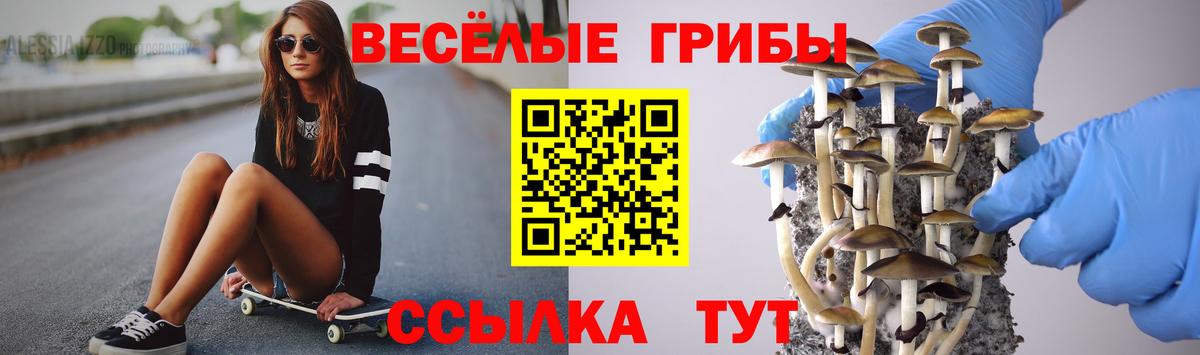 Псилоцибиновые грибы ЛСД Зеленокумск